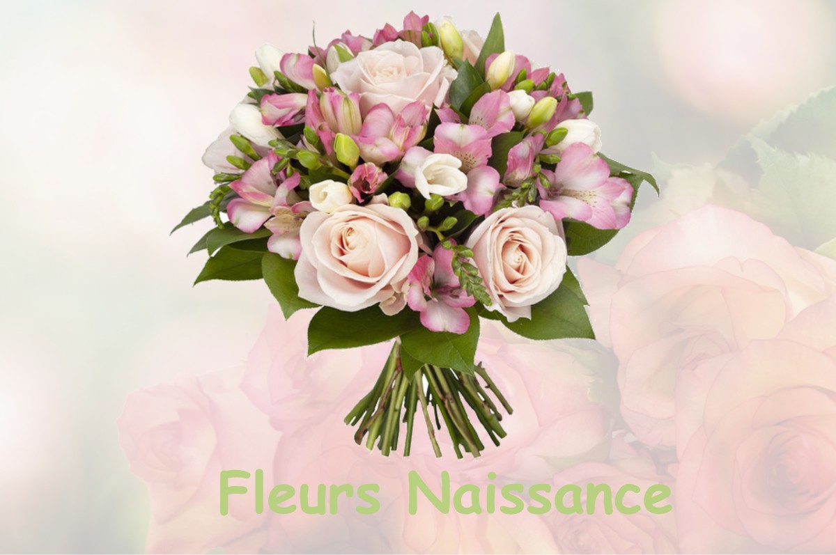 fleurs naissance MASSINGY-LES-SEMUR